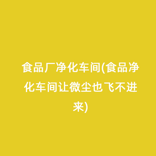 食品廠凈化車間(食品凈化車間讓微塵也飛不進(jìn)來)